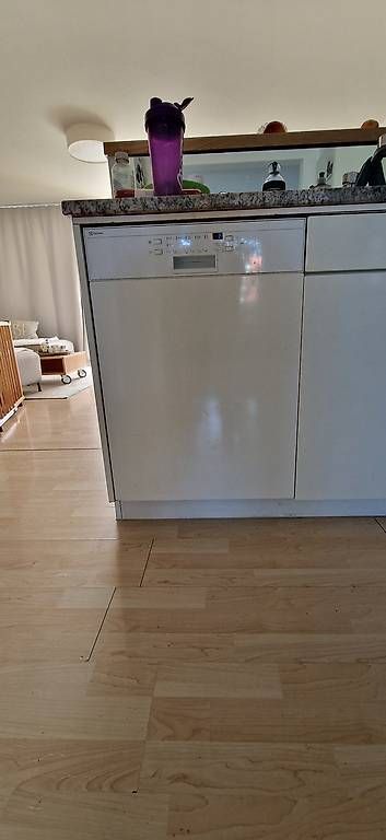 Geschirrspüler: Electrolux GA55LI – Gebraucht aus Winterthur von 4Kern 1
