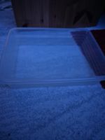 Aufbewahrungsbox transparent guter Zustand