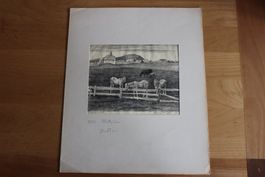 Original Lithographie "Pferde" von Eduard Stiefel Einsiedeln