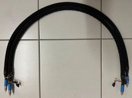 Cable Phasure Blaxius^2 Interlink 75 Ohm - RCA - Audiophile
