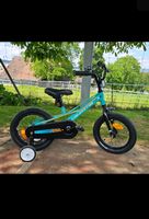 California Kindervelo Cyrus - 14" VB