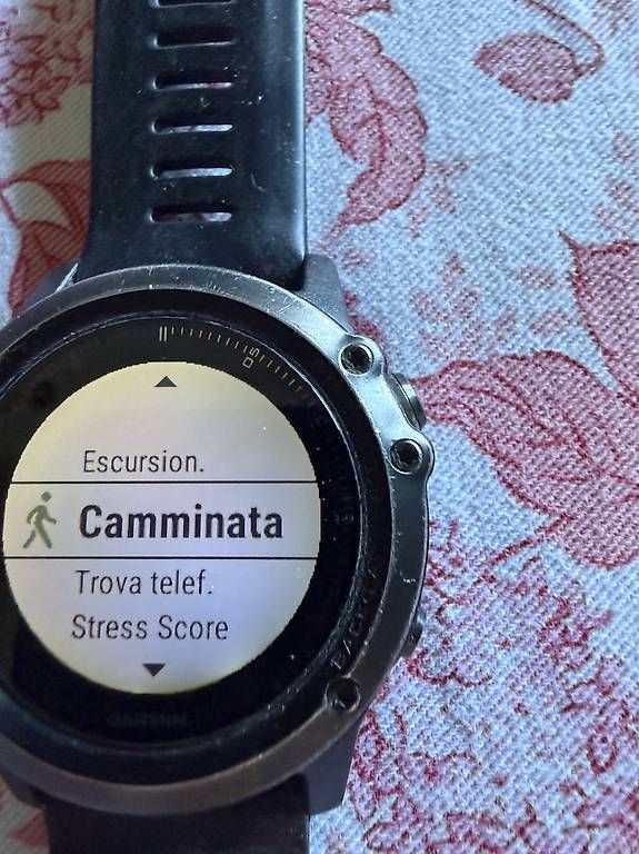 Fenix Smartwatch: Fenix 3 HR Sapphire – Usato da Coldrerio venduto da Crivelli 1