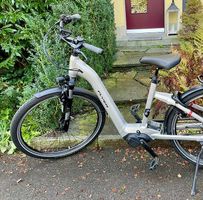 eBike Flyer Gotour5 5.00 RN 2021 (25km/h)