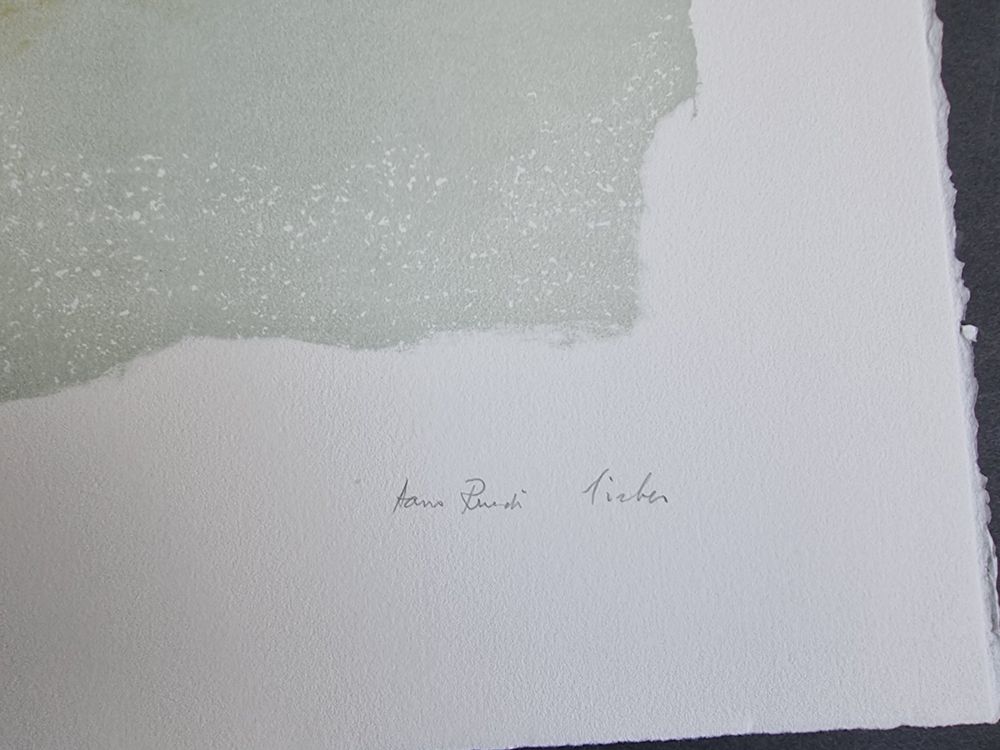 Grafica & Litografie: HANS-RUEDI SIEBER LITHOGRAPHIE SIGNIERT NUMMERIERT – Usato da Gersau venduto da grafik-kunst 4