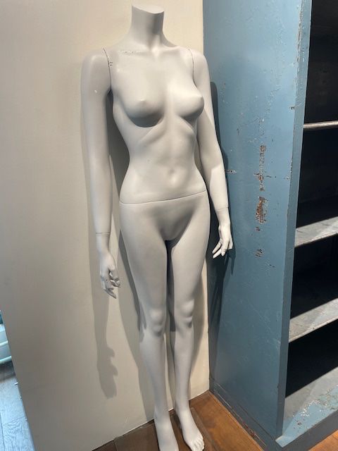 Altro in Decorazioni & Accessori: Mannequin hellgrau (weiblich) – Usato da Basel venduto da mat_nj5b