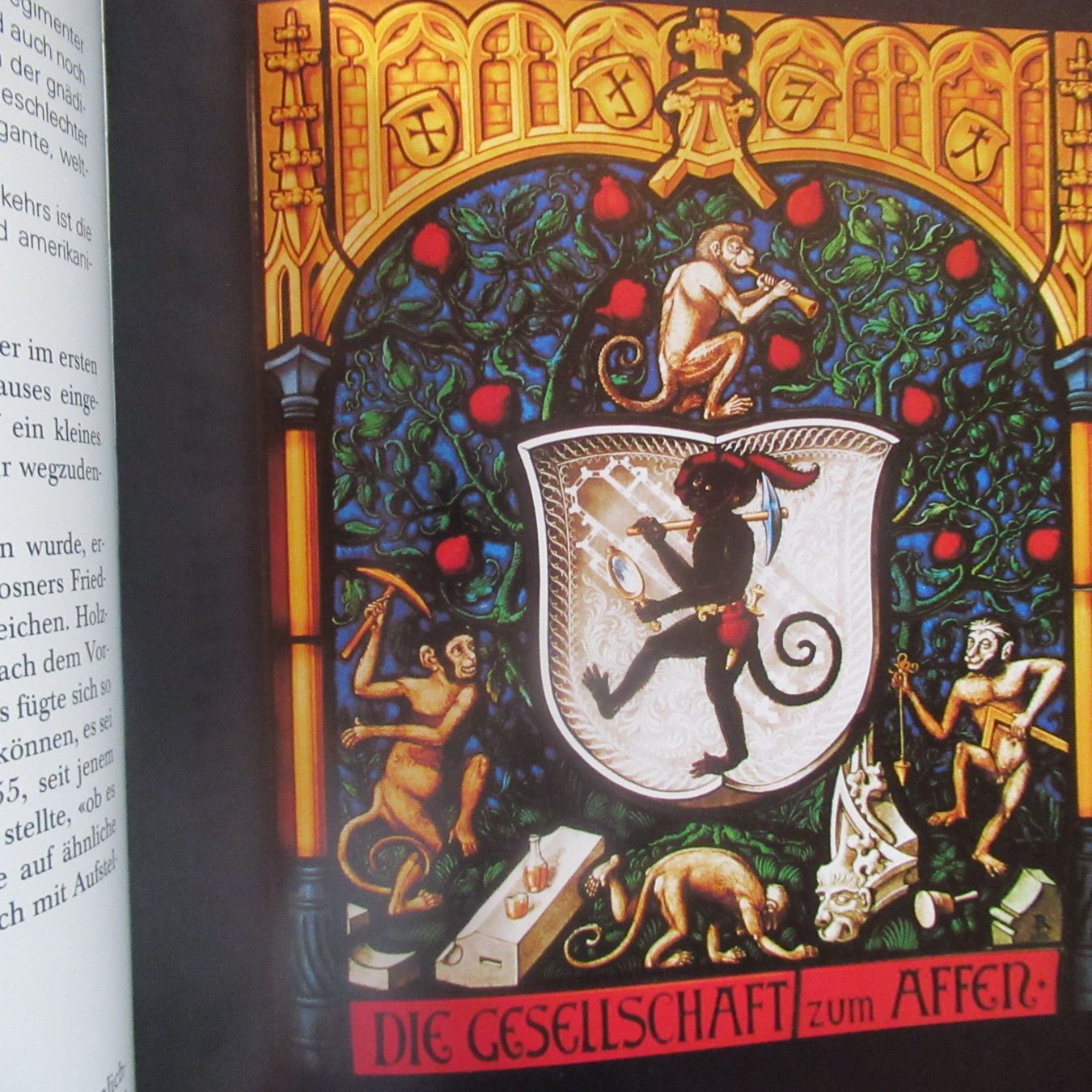 Bücher: BERNER ZUNFTGESELLSCHAFT ZUM AFFEN – Neu (gemäss Beschreibung) aus Moosseedorf von haro01 4