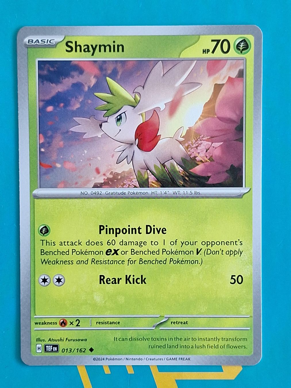 Pokémon Carte collezionabili: Shaymin - Temporal Forces Pokemon - #7.1 – Usato da Altstätten SG venduto da GGsGameshop