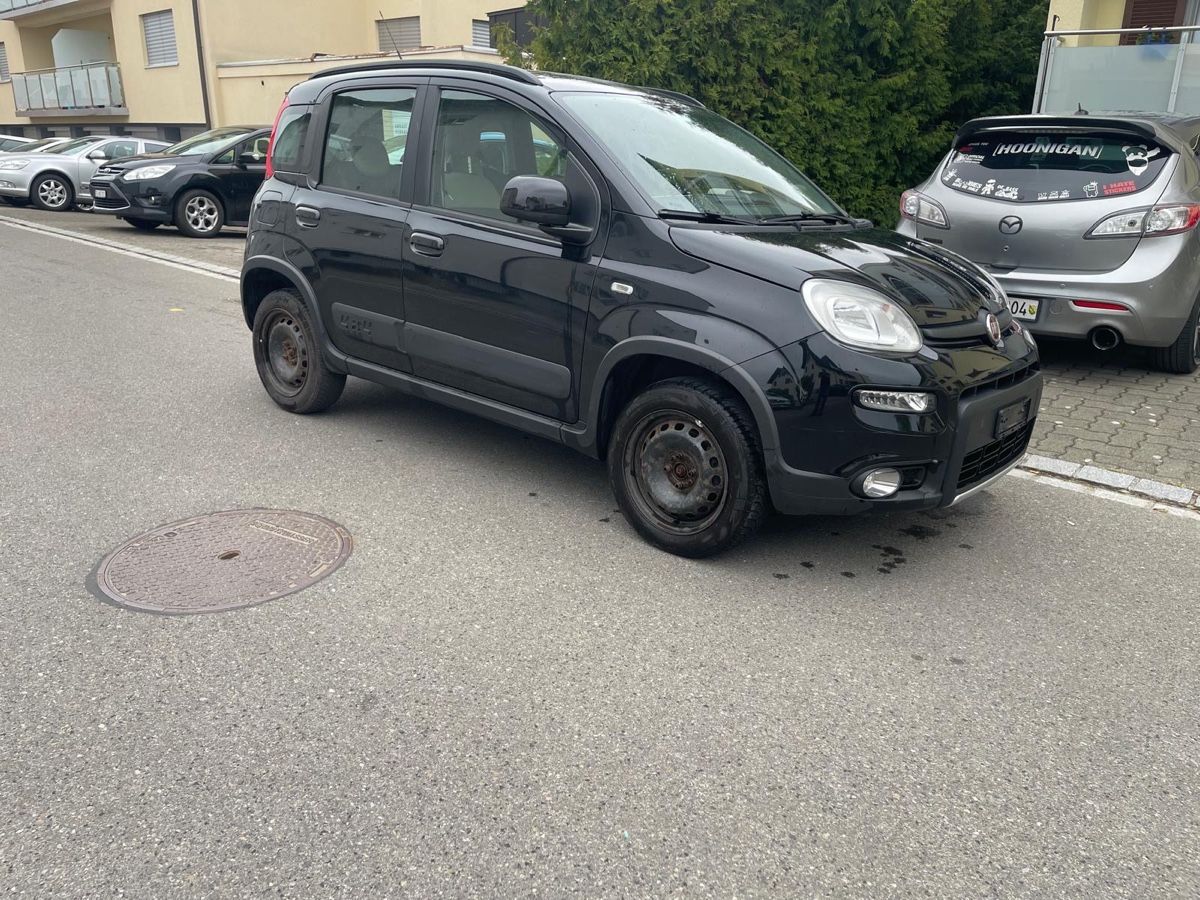 Fiat Autos: Fiat Panda 4X4 mit AHK – D'occasion à Romanshorn par cbr_2s78