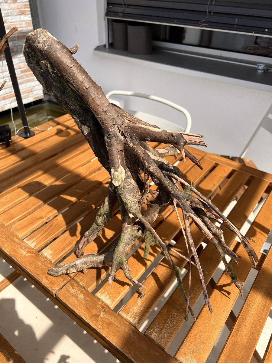 Acquari: Aquarium Holz  – Usato da Walkringen venduto da ise_v5dn 1