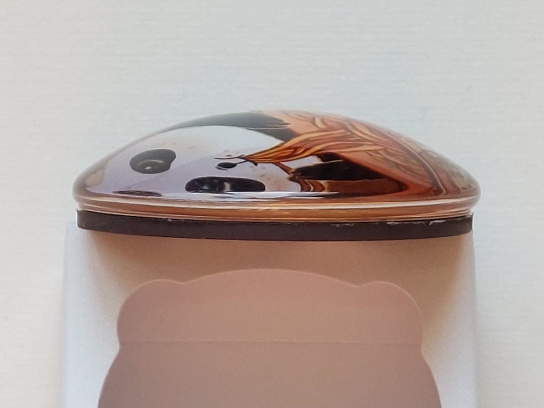 Calamite: Magnete mit Pandabär-Motiv – Nuovo e nell'imballaggio originale da Liebefeld venduto da Helveticus6 1