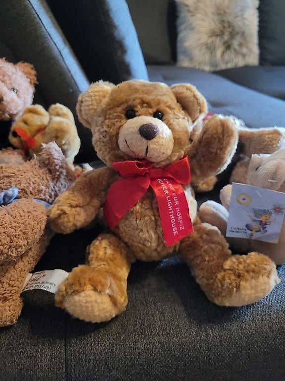 Jouets: Marken Teddybären Set – D'occasion à Steckborn par bee_76v9 1