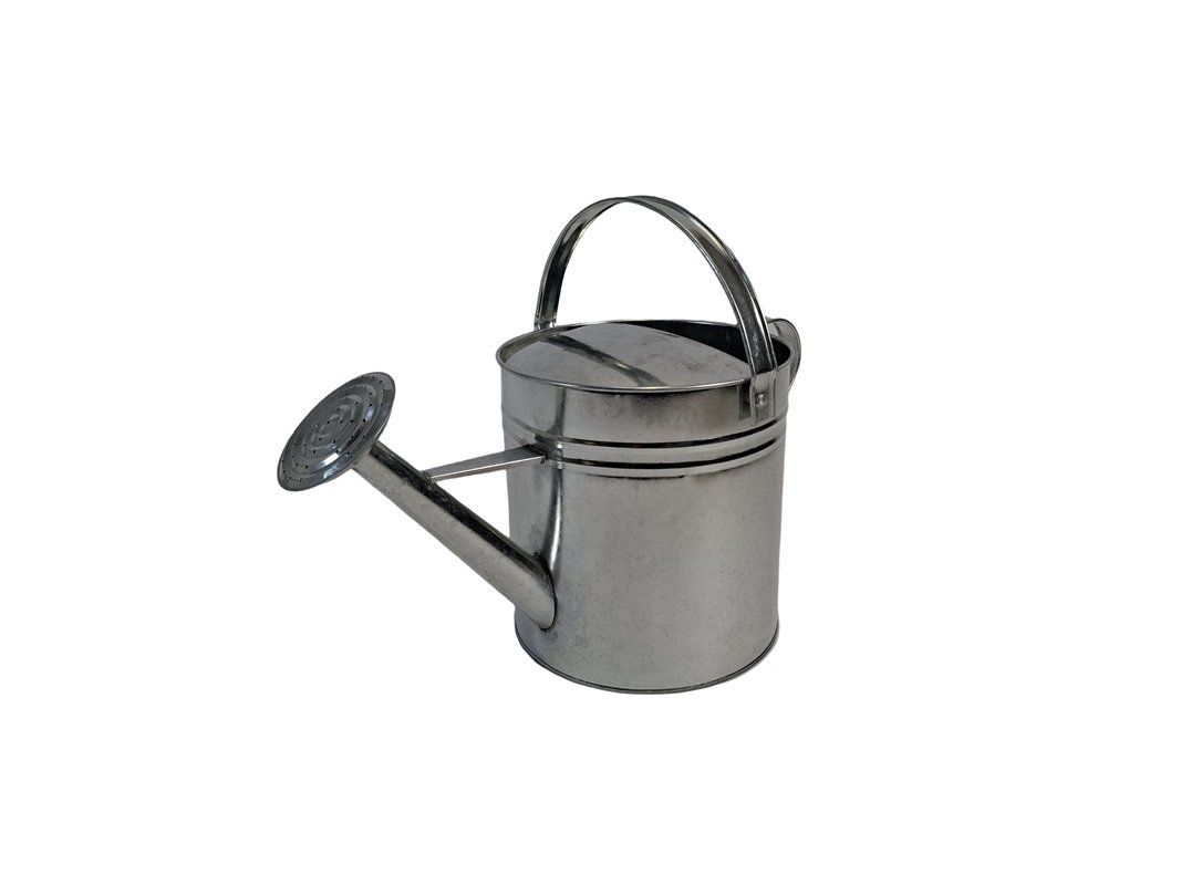 Bewässern & Giessen: HERSTERA Giesskanne 10 L Silber – Gebraucht aus Wil SG von  3