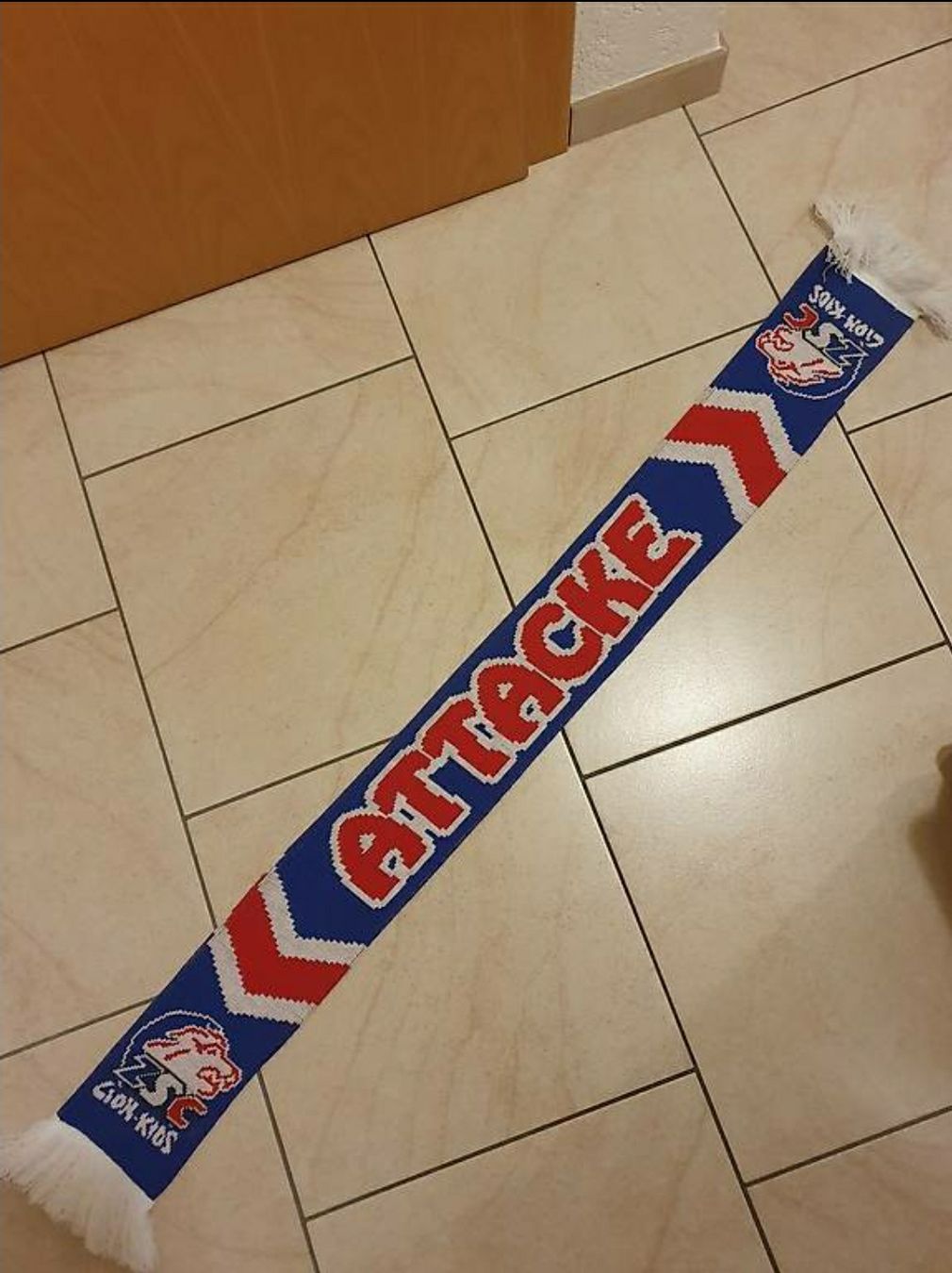 Zsc Lions Foulards, Tücher & Schals: ZSC Lion Kids Schal – Gebraucht aus Herznach von Dosendealer 1