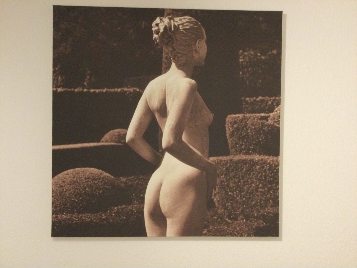 Foto & Immagini: Kunstdruck auf Leinwand – Usato da Lindau venduto da fam_pp2t