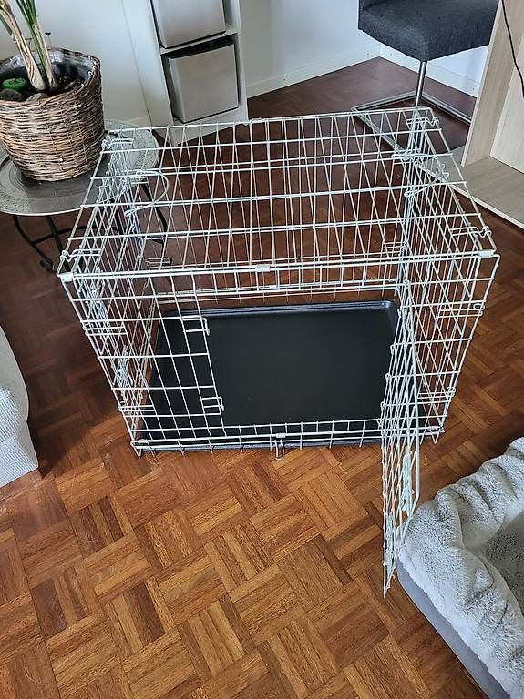 Käfige, Transport & Sicherheit: Hundebox/Gitter – Gebraucht aus Oberglatt ZH von summerbreeze12 2