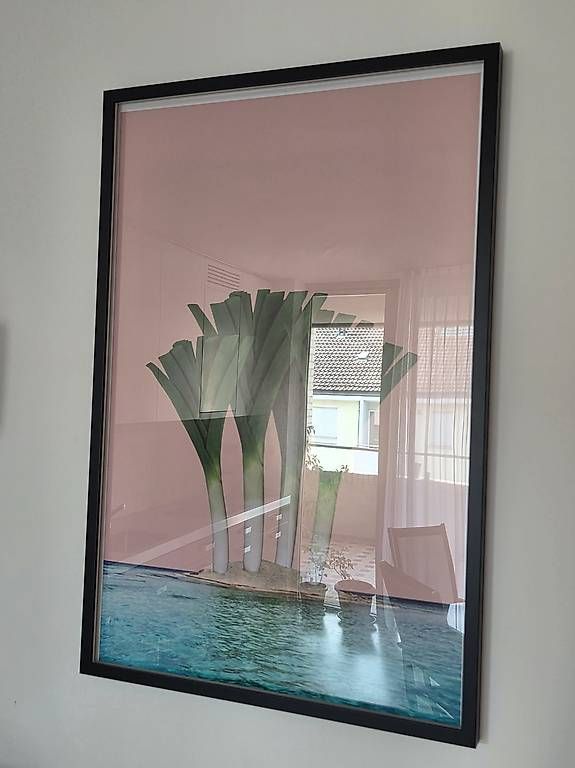 Foto & Immagini: Palm Beach Lauch Poster 90x60 – Usato da Bern venduto da DerLemming 1
