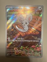 Pokémon - Minccino - BLK 152/186 EN