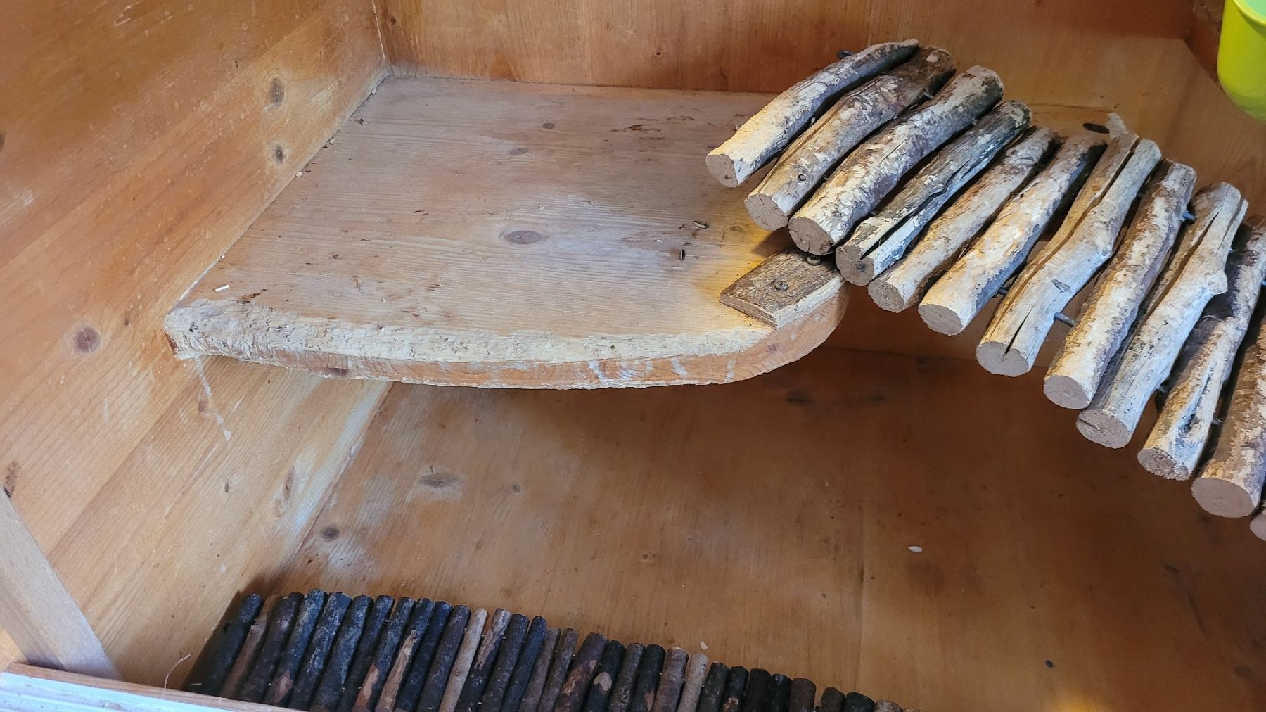 Gabbie, trasporto & Sicurezza: Nagetierkäfig aus Holz – Usato da Jens venduto da Apfelstrudl 7