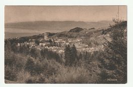 1910, Gruss aus Heiden, Appenzell Ausserrhoden mit Bodensee