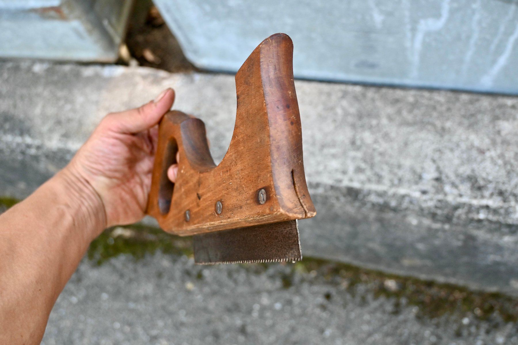 Seghe: Antike  GRATSÄGE Länge 25cm – Usato da Pfaffhausen venduto da mono_rec 9