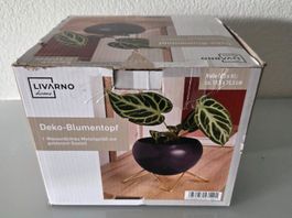 Livarno Home Deko-Blumentopf, violett mit Goldgestell. OVP!