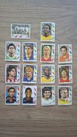 Panini WM 2006