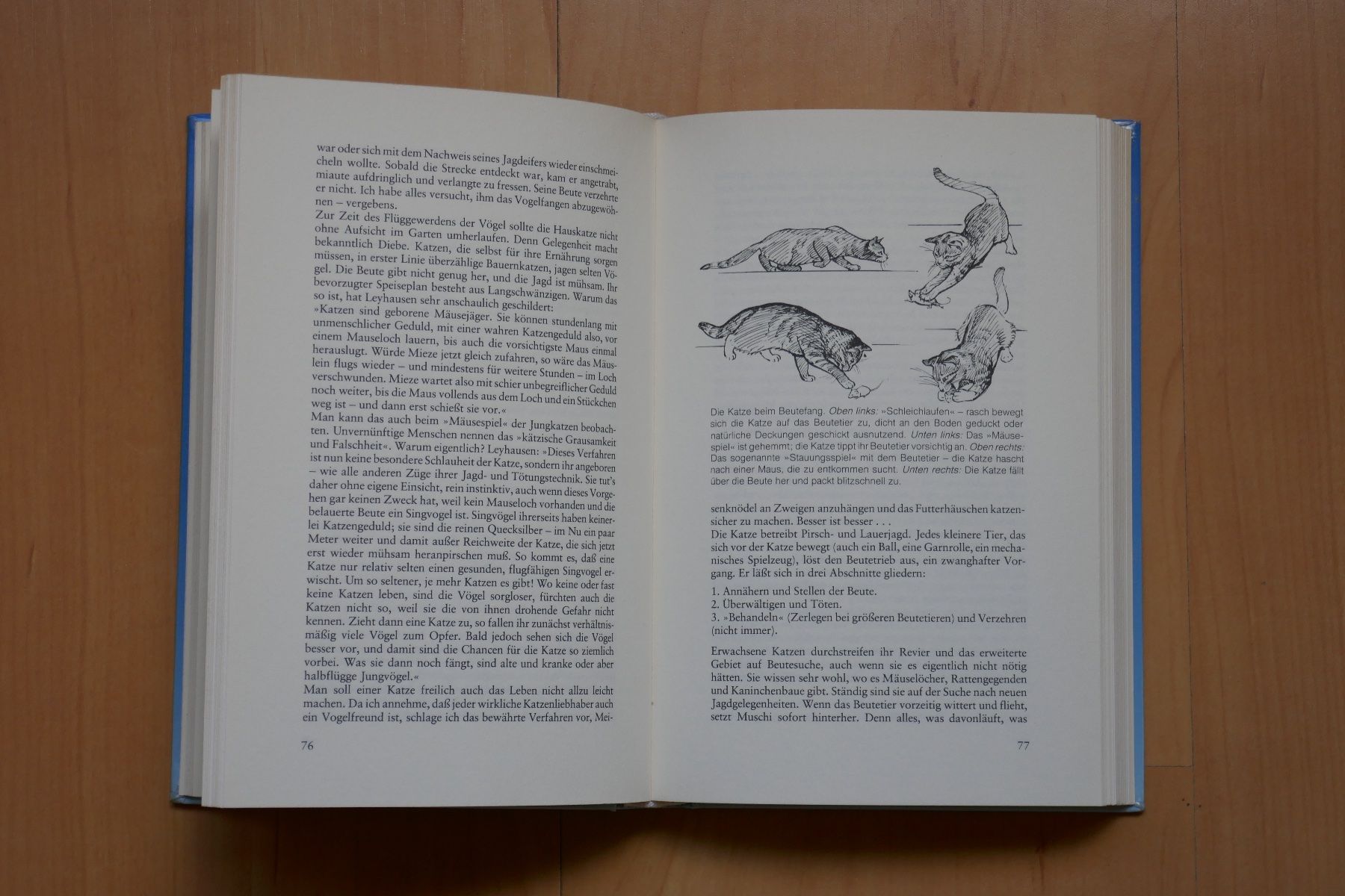 Libri: Knaurs Katzenbuch – Usato da Uetendorf venduto da sru128 2