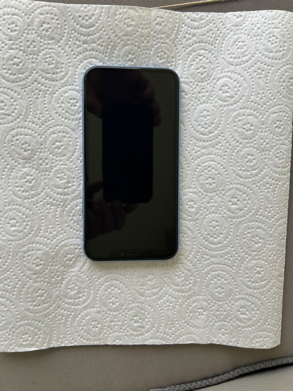 Apple Telefoni cellulari / Smartphones: iPhone XR 64 GB – Usato da Dulliken venduto da Superbad 2