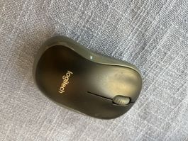 Logitech Maus