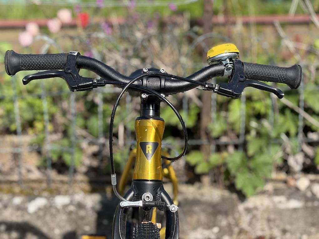 Biciclette: 16" Kindervelo Rascal Bikes Gold – Usato da Stäfa venduto da Tschimmen 2