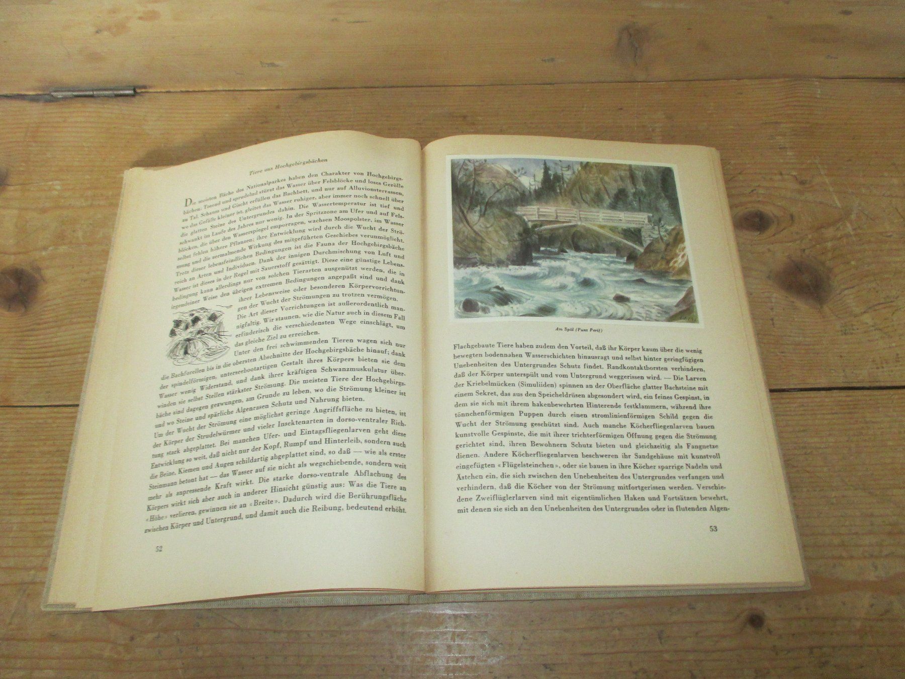 Libri: Der Schweizerische Nationalpark 1949 – Usato da Flims - Dorf venduto da Stagediver 6