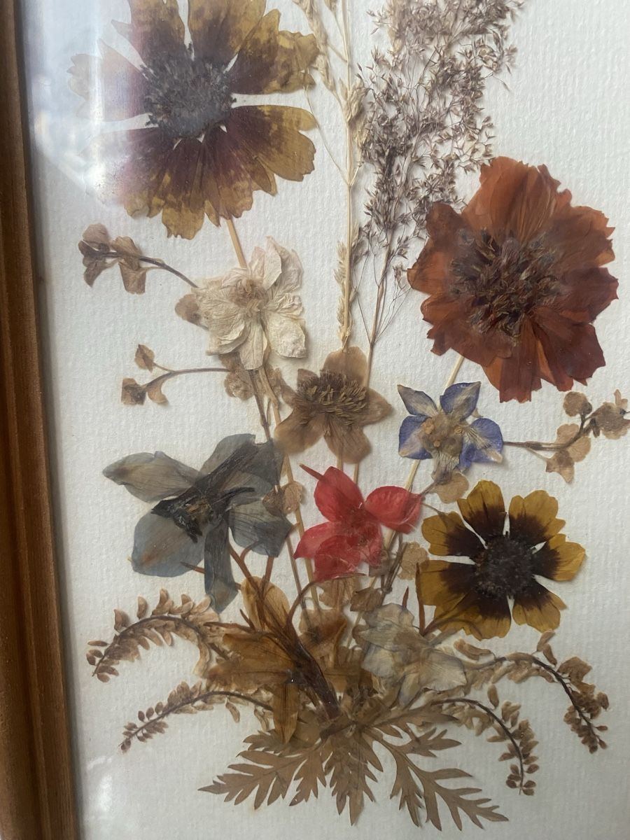Foto & Immagini: Bild trocken Blumen 32x15x2cm – Usato da Seewen SZ venduto da shaky01 2