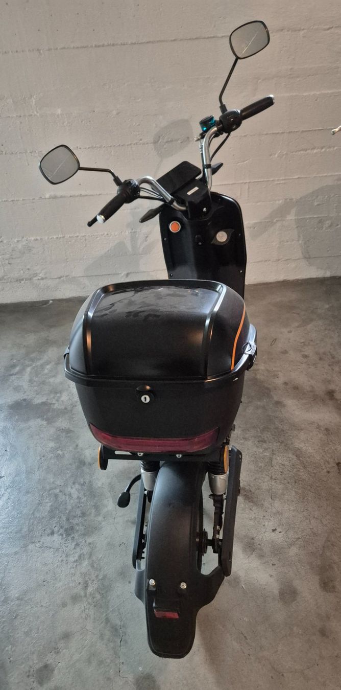 Ciclomotori: E-Mofa Elfar Premium – Usato da Liebefeld venduto da Straycats 1