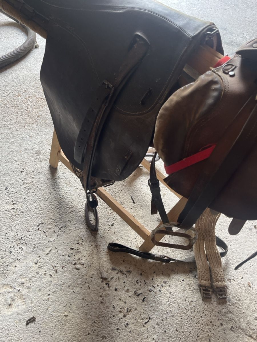 Selle & Accessori: 2 Alte Sättel – Difettoso da Oberwil i. S. venduto da sam95s 2