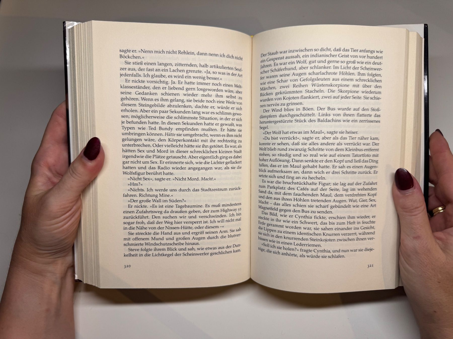 Libri: ROMAN: Stephen King, Desperation – Usato da Grosswangen venduto da Deutsche_Romane 6