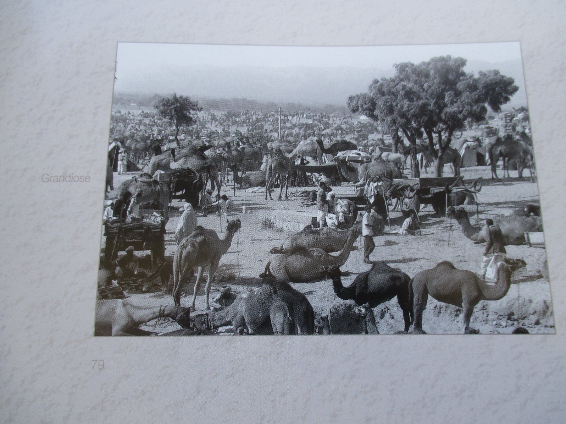 Libri: Objectif Monde (photographies de S. Chaillet) – Usato da Colombier NE venduto da Nevenma 1