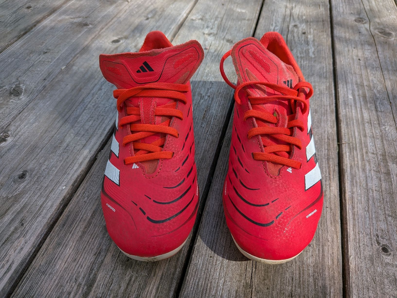 Adidas Herrenschuhe: Adidas Predator Fussballschuhe, Gr. 34 – Gebraucht aus Bern von Runner007 1