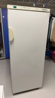 Grosser Gefrierschrank 258L Liebherr