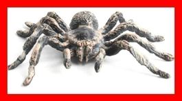 Fake 3D Spinne Prank Halloween Spider Dekoration Kostüm Tier