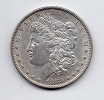 (1336) USA, 1 Dollar 1880, top stgl