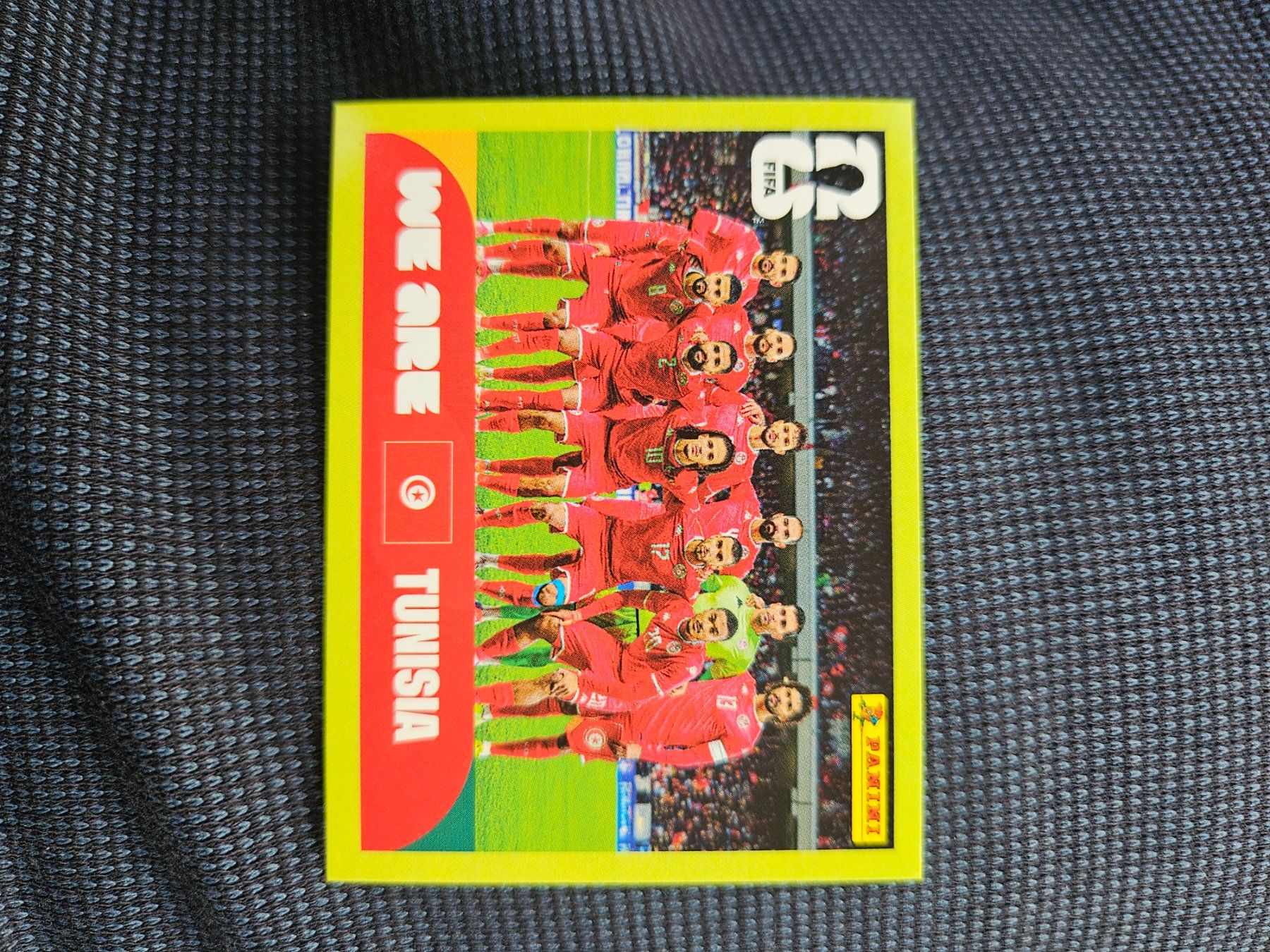 Panini Cartes à collectionner: TUN 13 – D'occasion à Würenlingen par Dinli