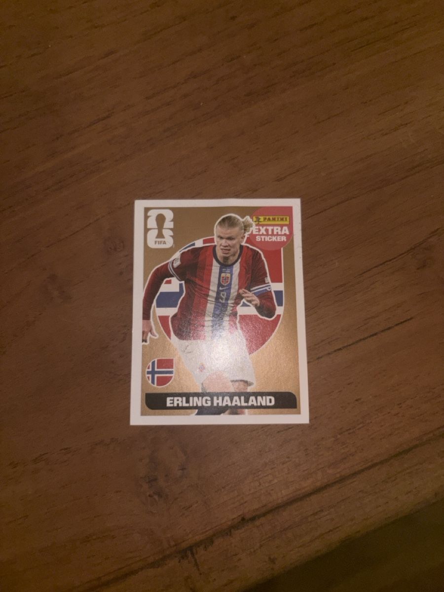 Panini Carte collezionabili: Haaland Extra Sticker – Nuovo (secondo la descrizione) da Pully venduto da leo_8hsc