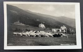 Churwalden Ort, Schafherde /Foto A. Mettler