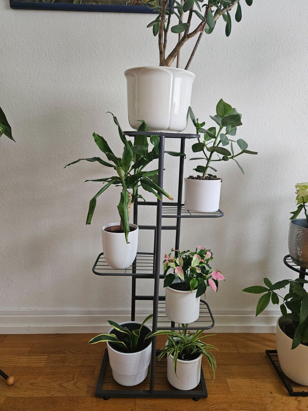 Autres articles pour la maison: pflanzenständer 95 cm – Neuf avec emballage d'origine à Basel par Vaceslav08 1