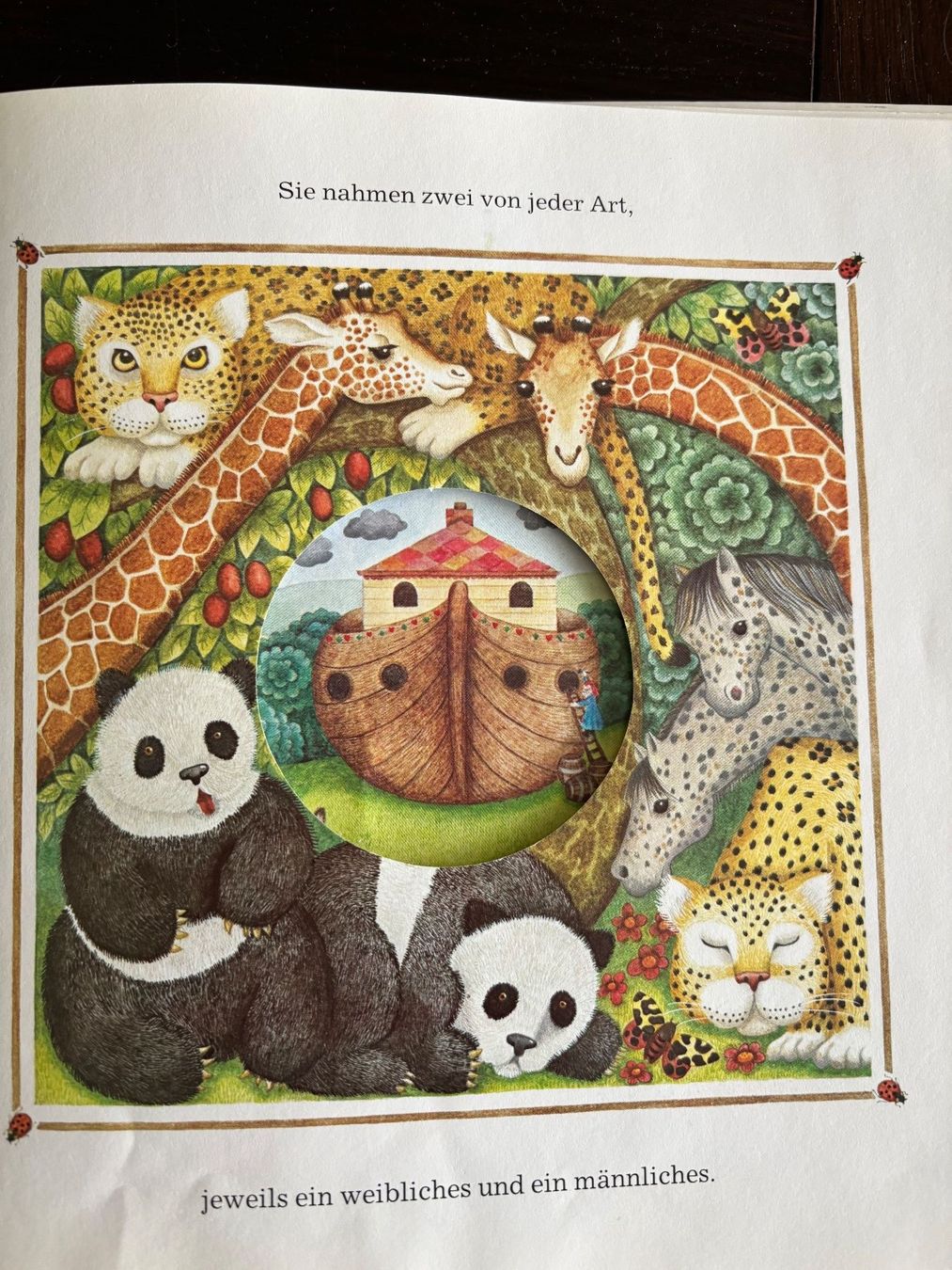 Libri: Bilderbuch   Die Arche Noah – Usato da Horw venduto da Luki49 2