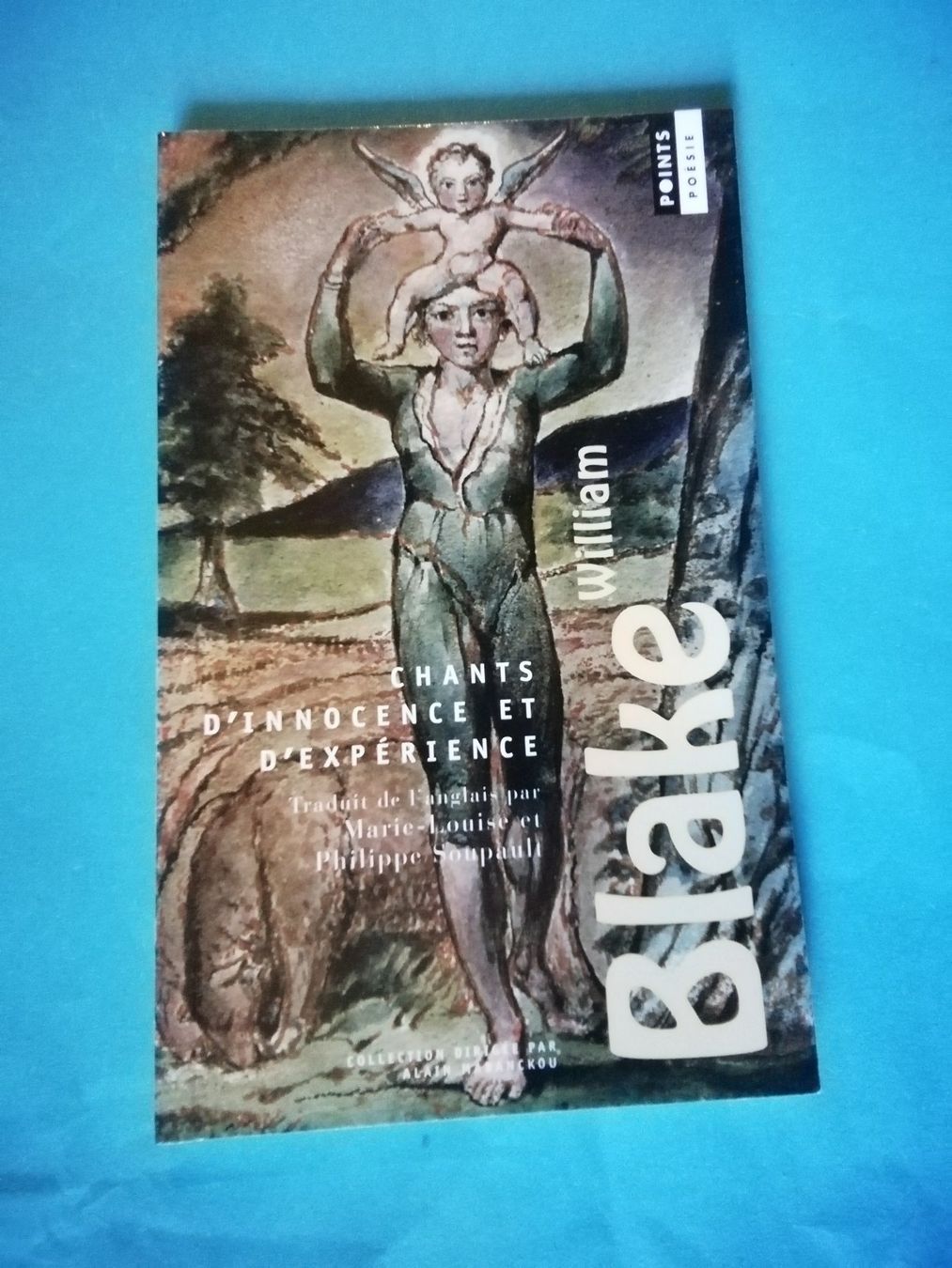 Bücher: William Blake Chants d'innocence et d'expérience Points P... – Neu (gemäss Beschreibung) aus Commugny von Juliemimi