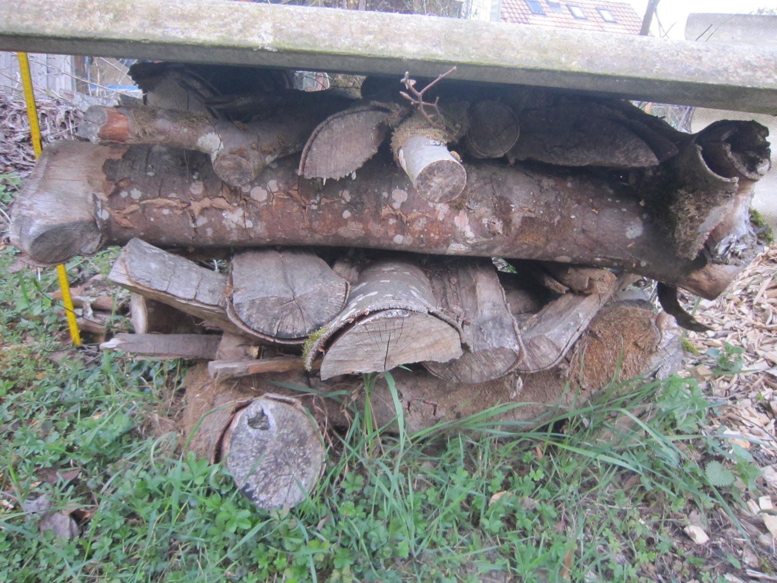 Holzartikel: Brennholz Buche – Gebraucht aus Böttstein von koehlerkafi 1