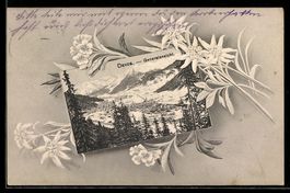 AK Davos, Generalansicht im Winter, Edelweiss