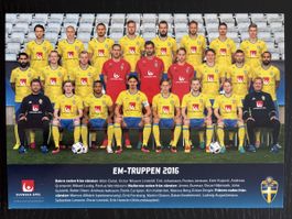 Original signierte Autogrammkarte Schwedische Fussball Nati