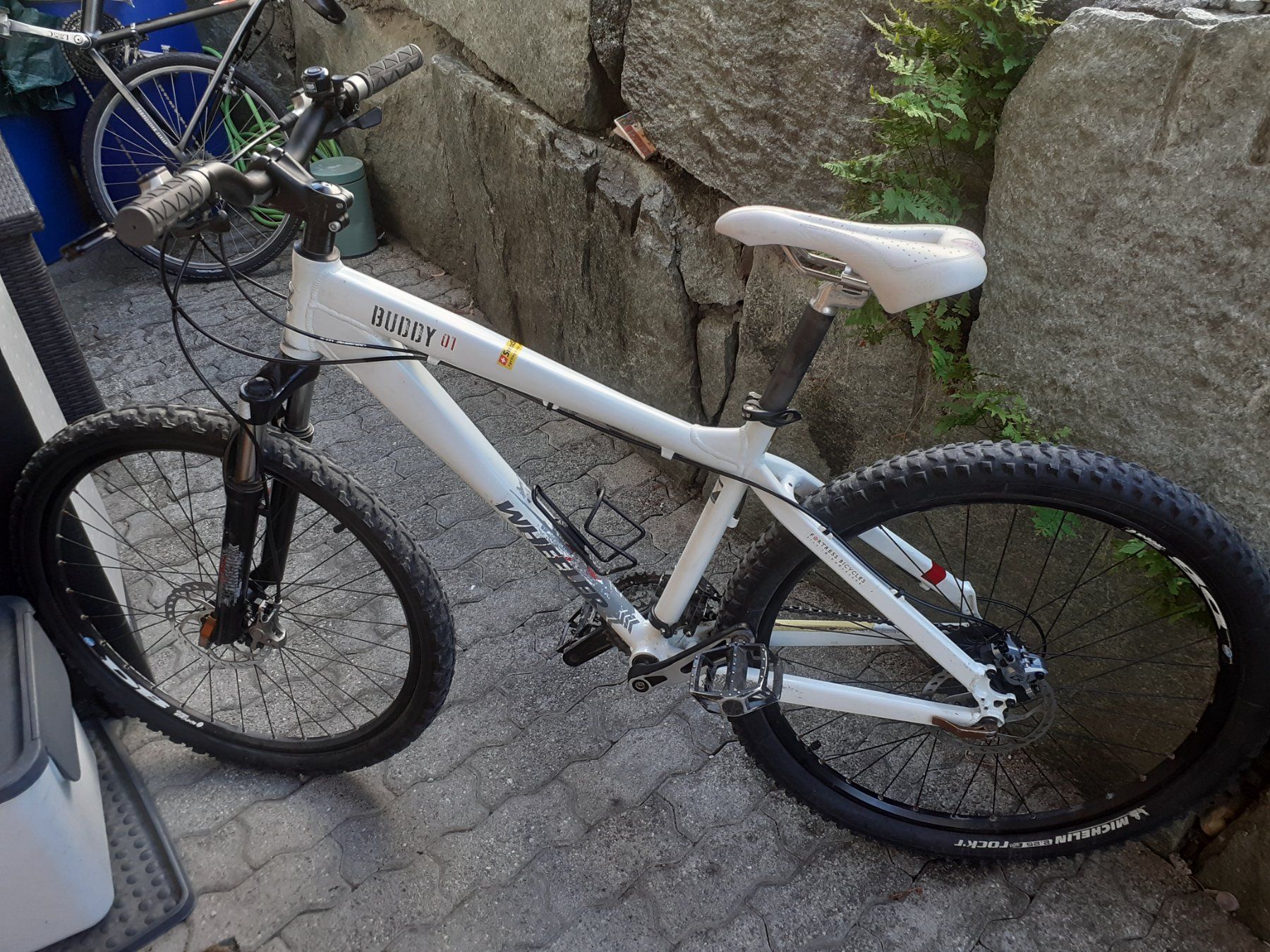 Wheeler Biciclette: MTB Wheeler Buddy 01 – Usato da Cazis venduto da Lucio05 5